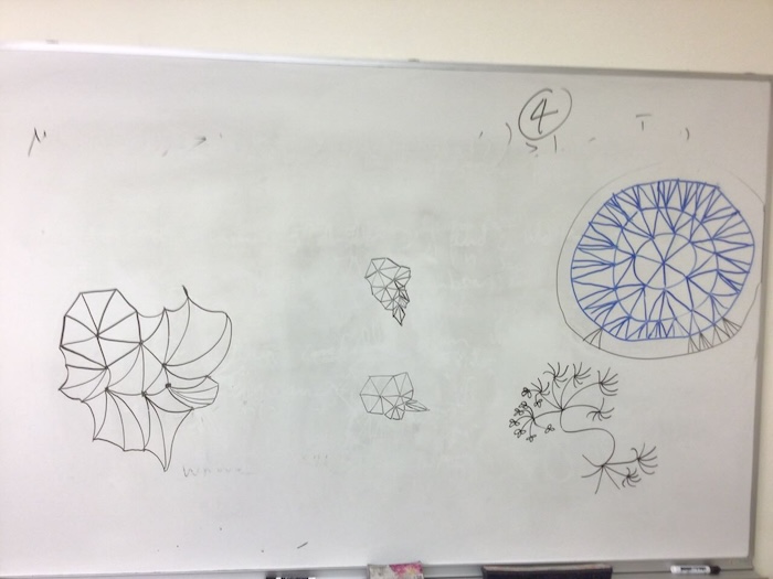 a whiteboard full of attempted drawings of the hyperbolic tesselation