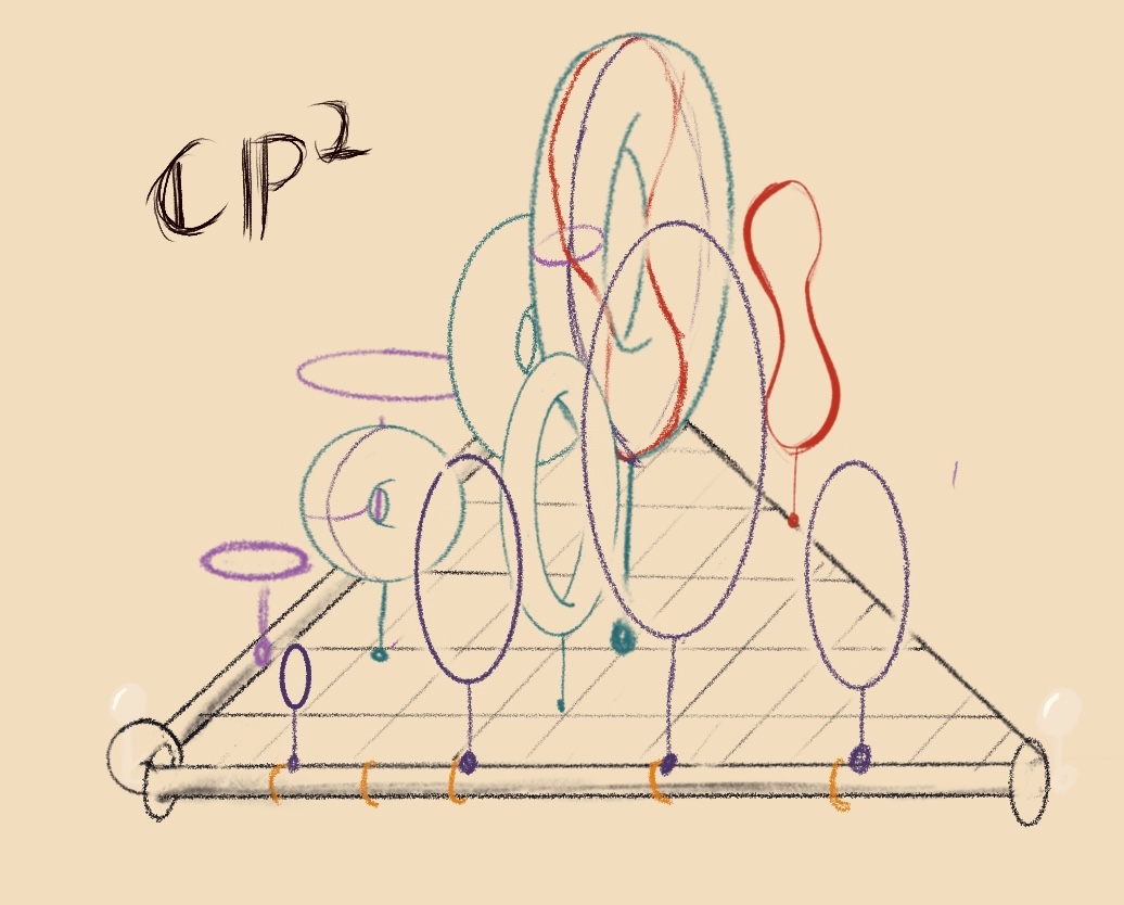 above a triangle, there are many different tori. On  the edges of the triangle, these tori degenerate into circles. 