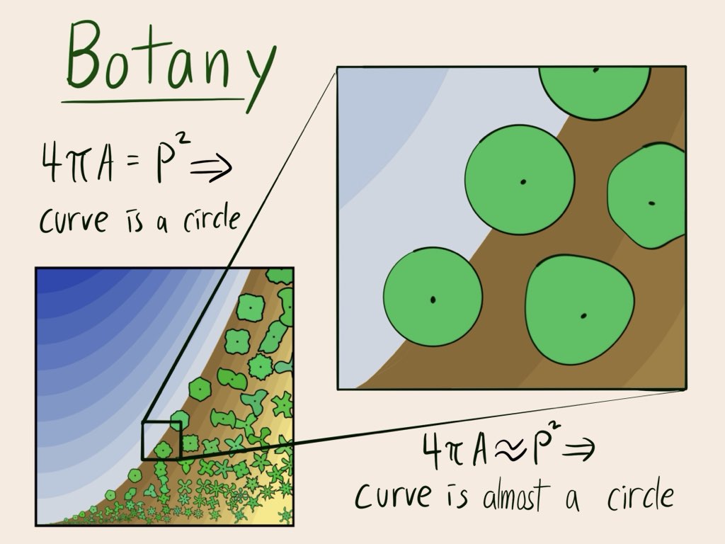 a zoom in on the flowers near the boundary. On the boundary they are circles, near the boundary they are slightly crenulated