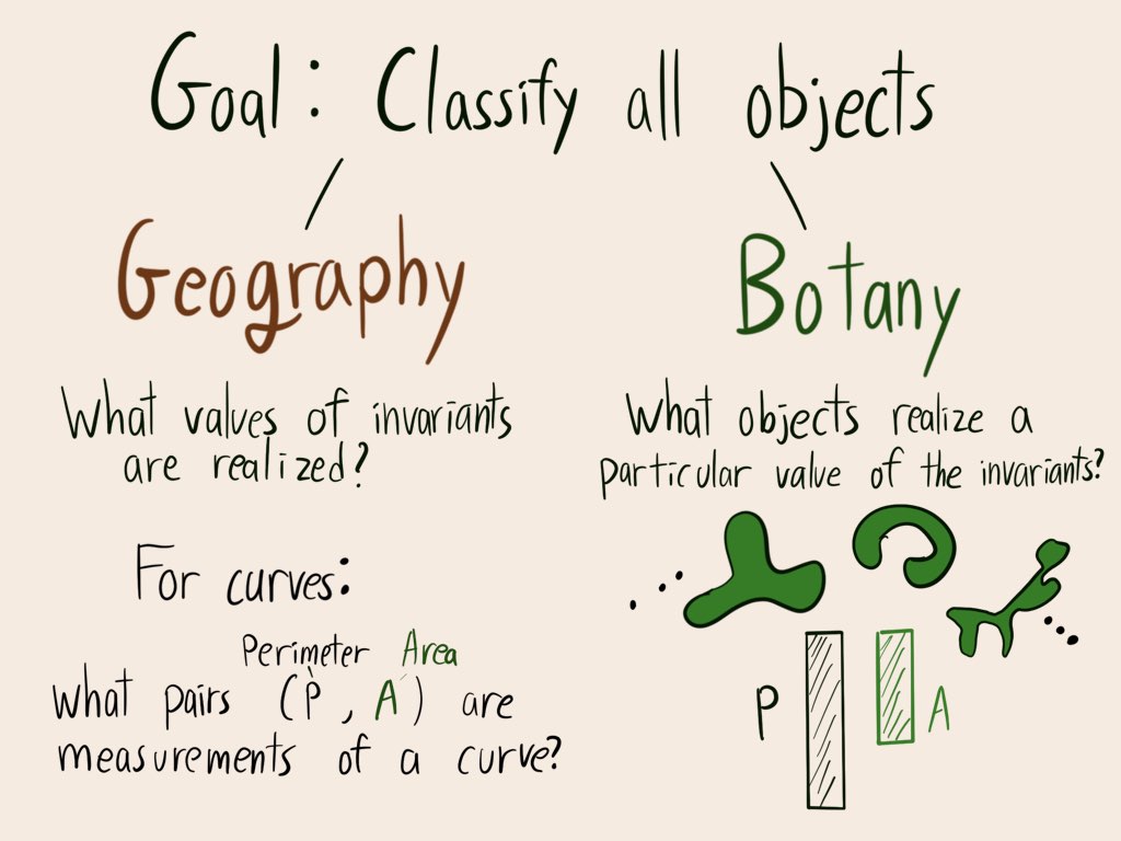 Several closed curves, each with bars under them measuring the perimeter and the area. 