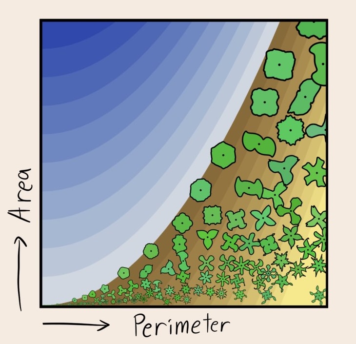 many curves on a graph with x axis perimeter and y axis area. The background is brown where there area cuvesm and blue elsewhere