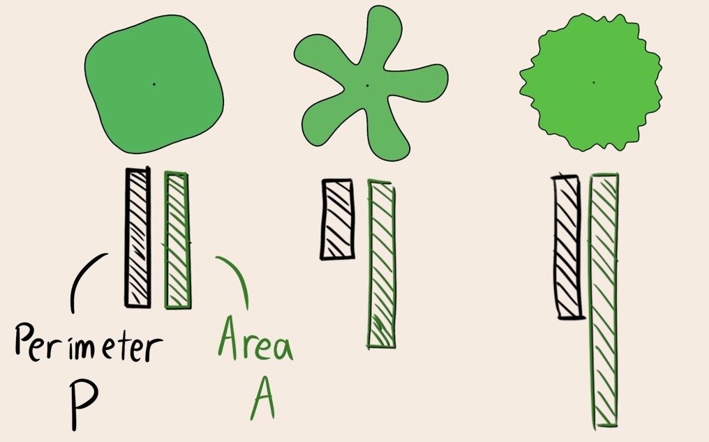 Several closed curves, each with bars under them measuring the perimeter and the area. 