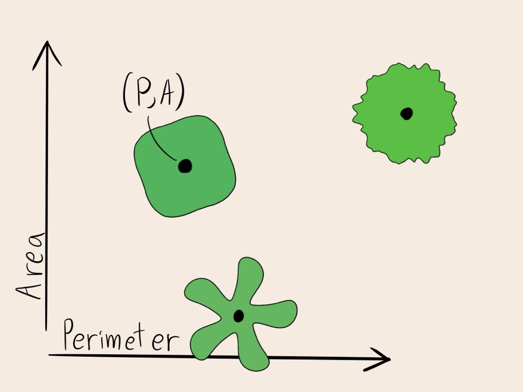 three curves on a graph with x axis perimeter and y axis area
