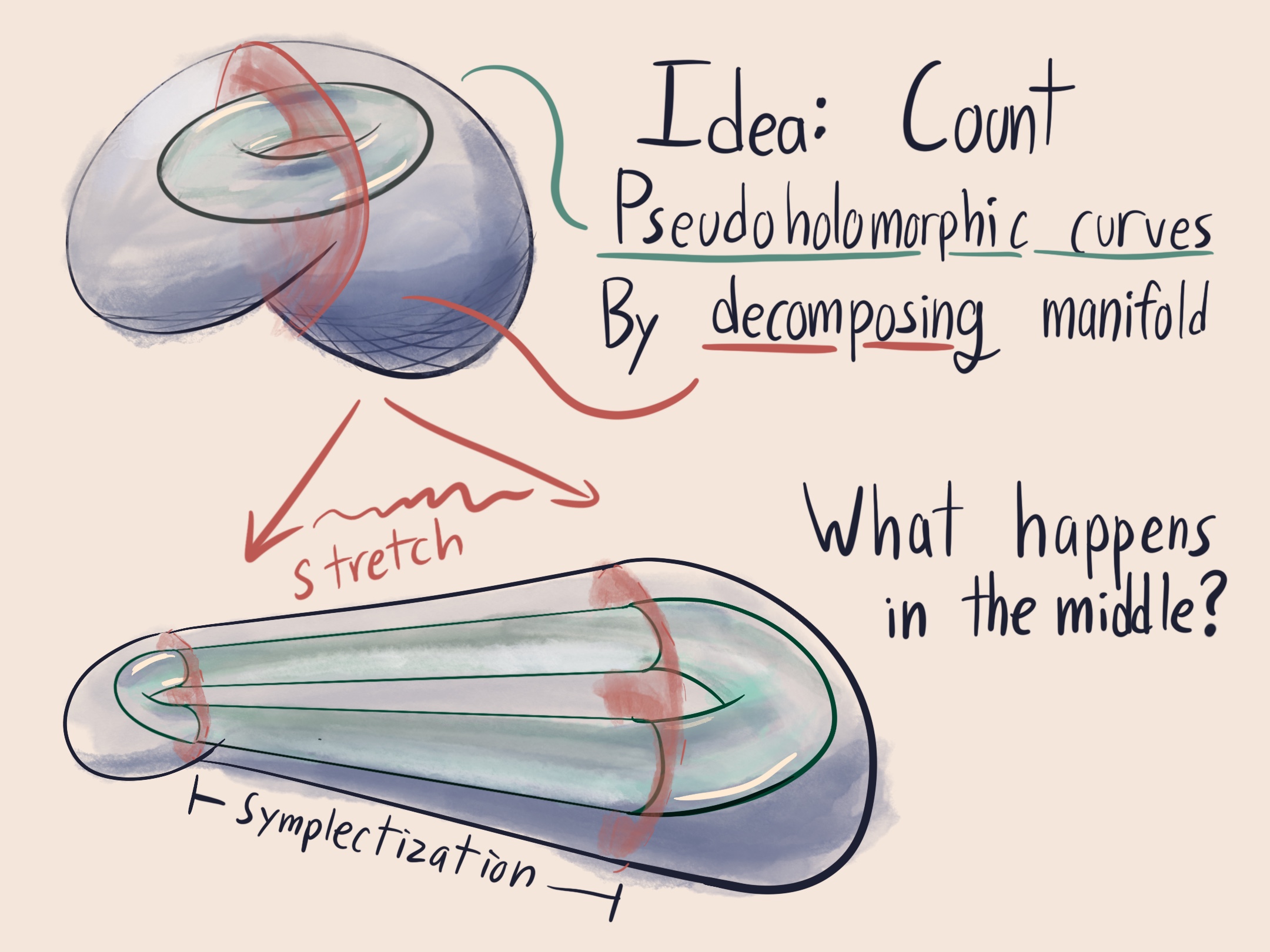 a bean with holomorphic curve. The bean gets pulled apart, and the holomorphic curve stretches along with it
