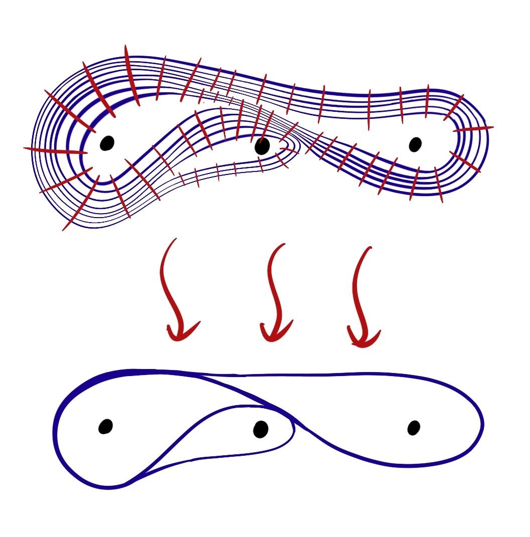 The picutre from the mural has perpinduclar liens layed across. Then these are contracted into a single curve which splits and merges.