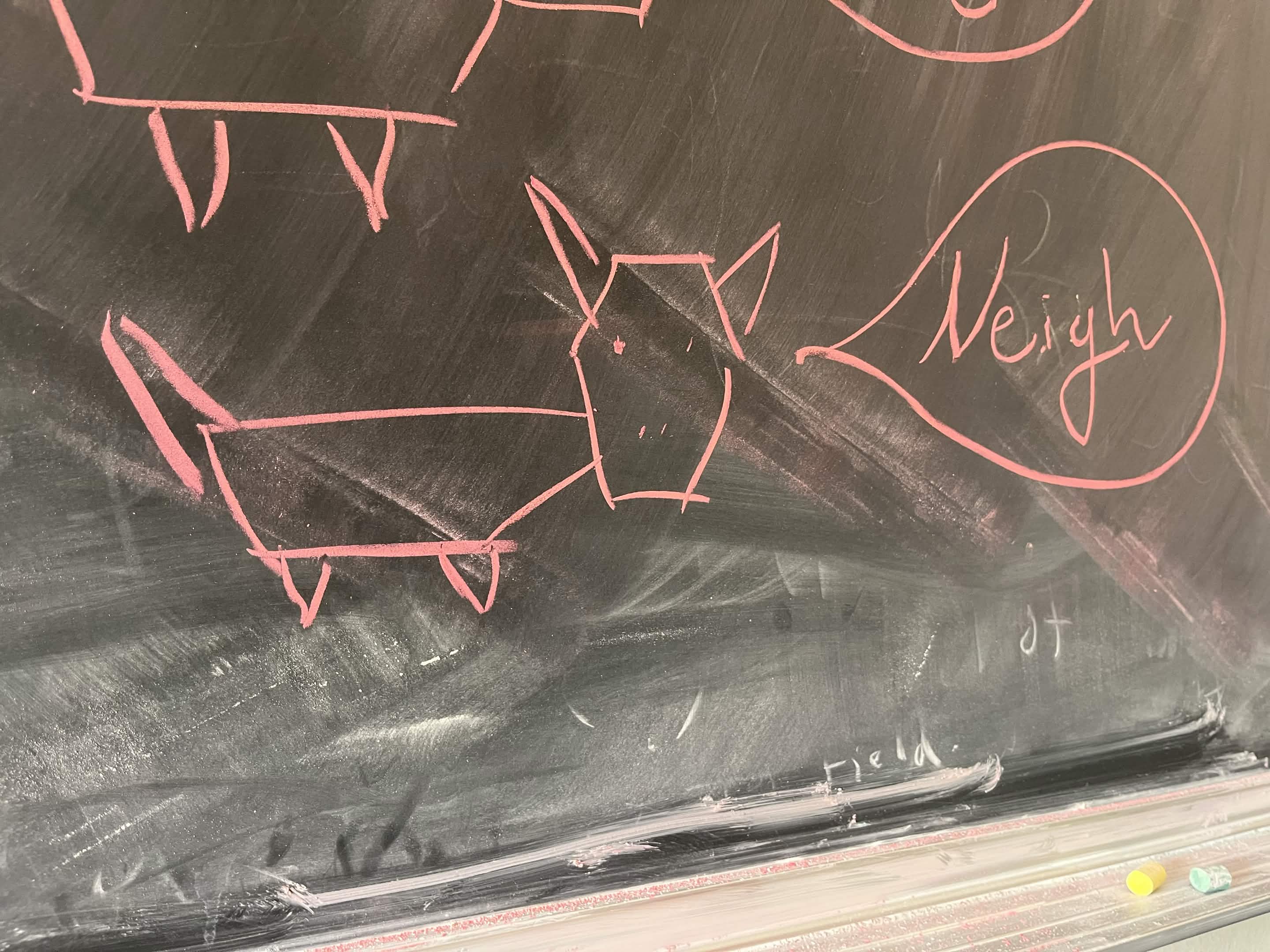 picture of a horse on a chalkboard saying neigh