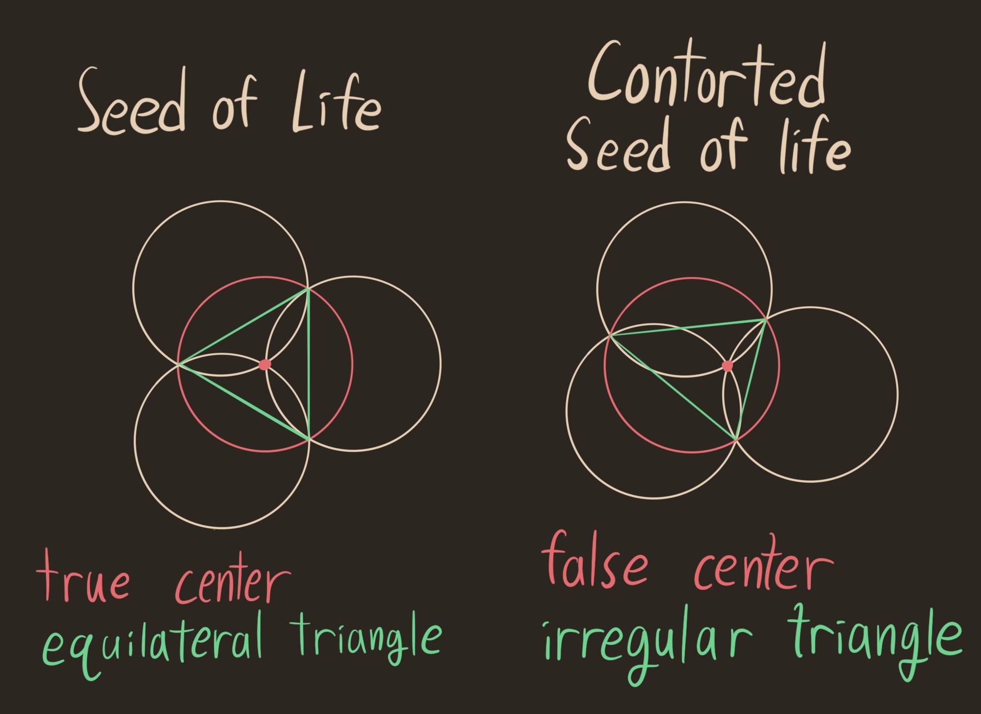 comparison between the ordinary seed of life, with its center at the center, and the contorted seed of life