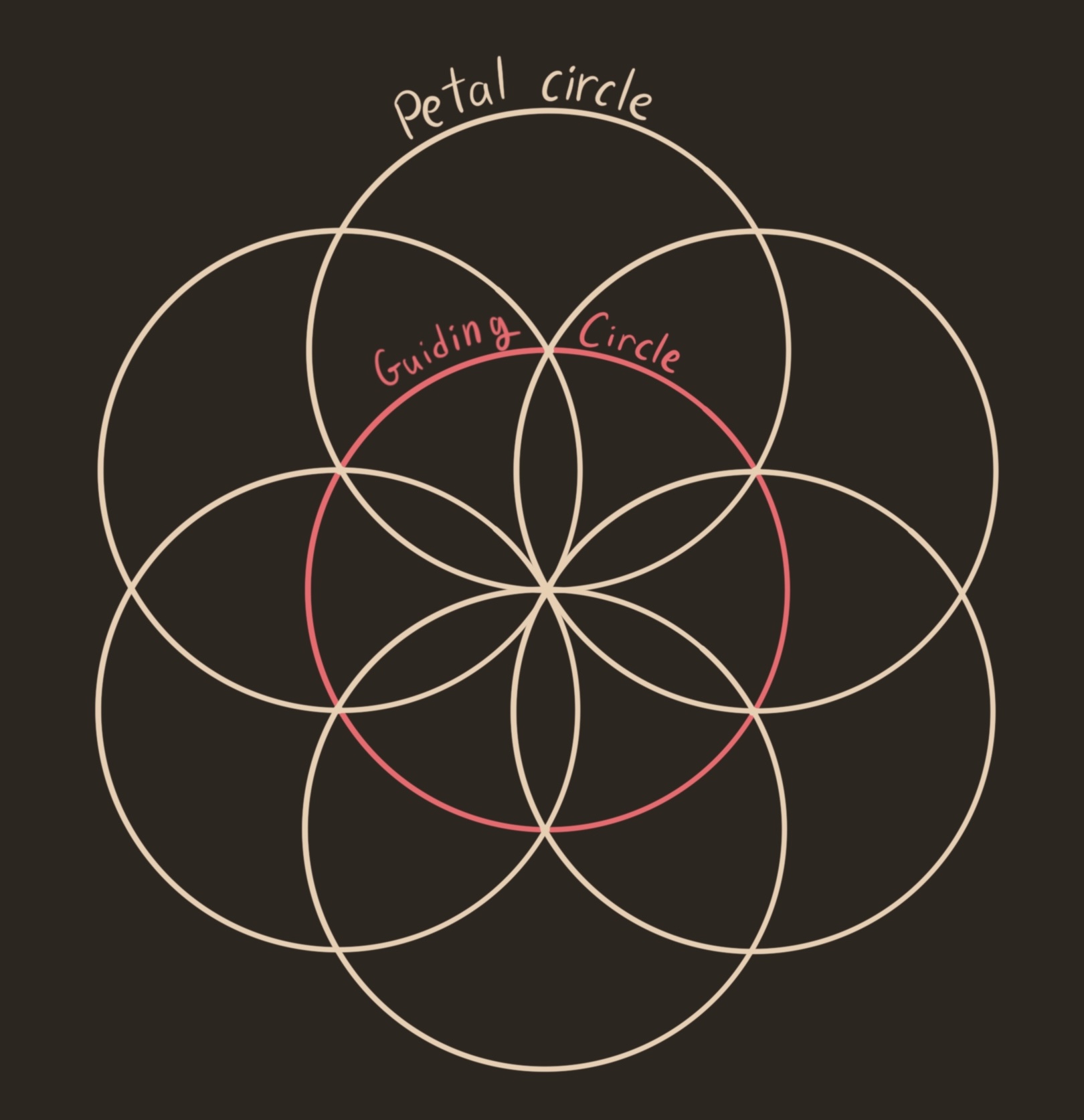 An arrangement of 7 symmetric circles