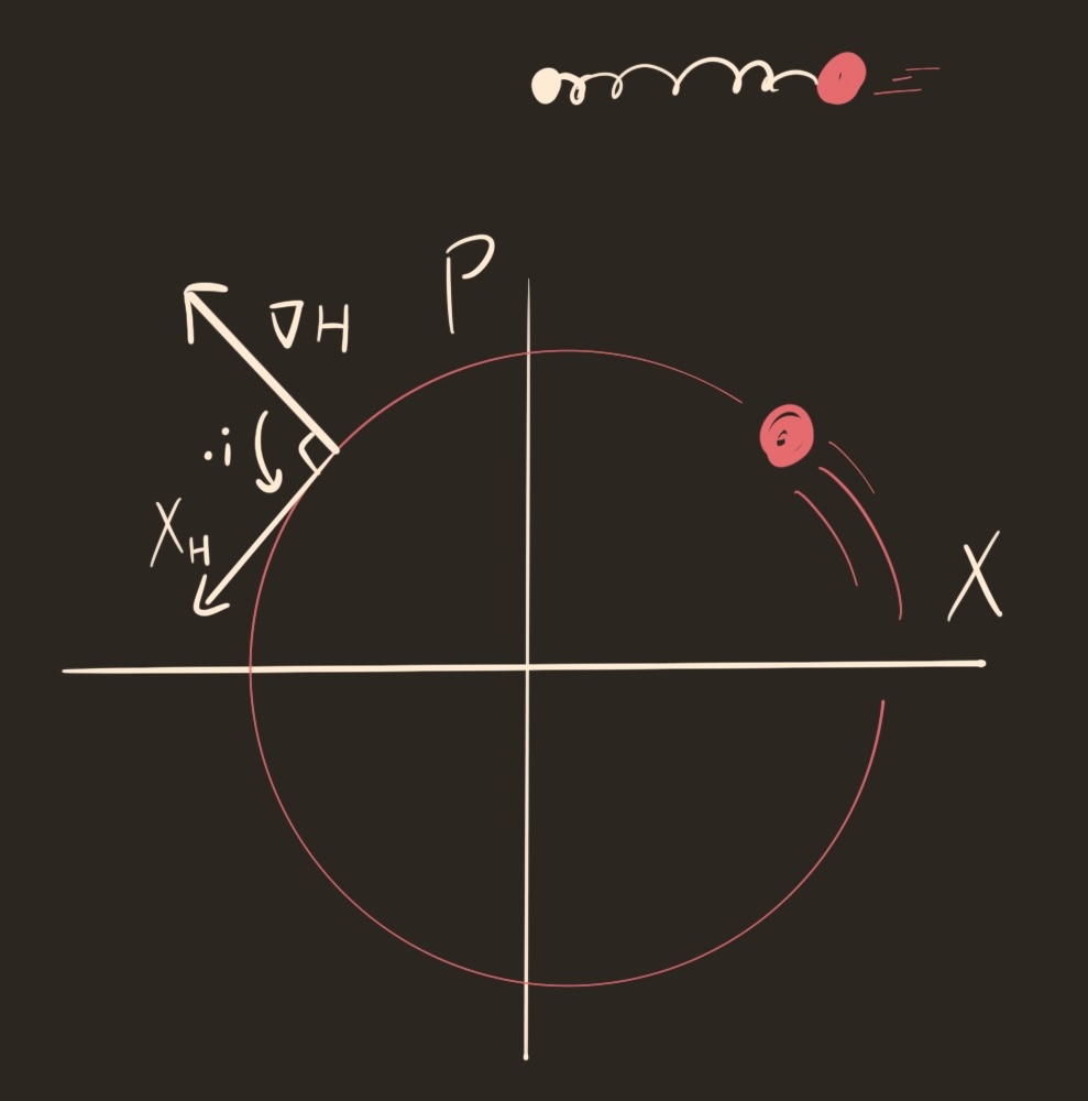 On the top, a ball attached to a spring moving back and forth. On the bottom, apoint moving in a circle in a axes labeled (x,p). a perpendicular is drawn from the circle labeled grad H, and a parallel to the circle labeled X_H. These are related by i.