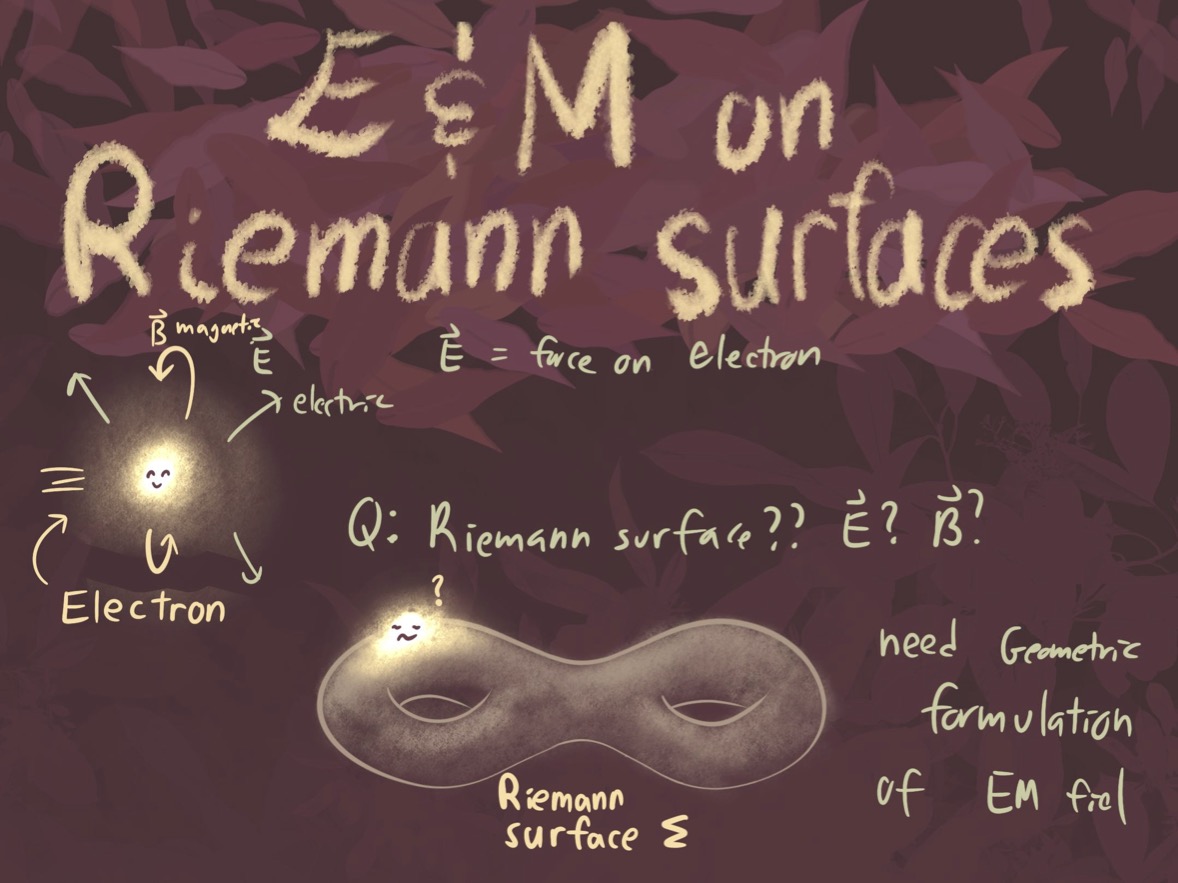 Electromagnetism on a Riemann surfaces