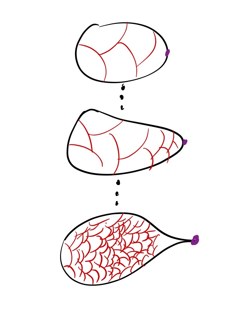 Packing stability, ECH capacity asymptotics, and simplicity of the Hamiltonian diffoemorphism group